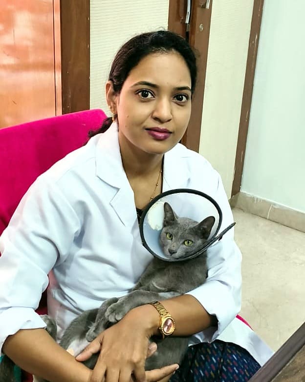 Dr. Neelima Prabha Dasari in a white coat, holding a grey cat wearing a recovery cone