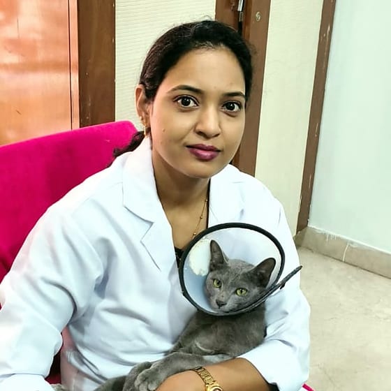 Dr. Neelima Prabha Dasari holding a grey cat wearing a recovery cone